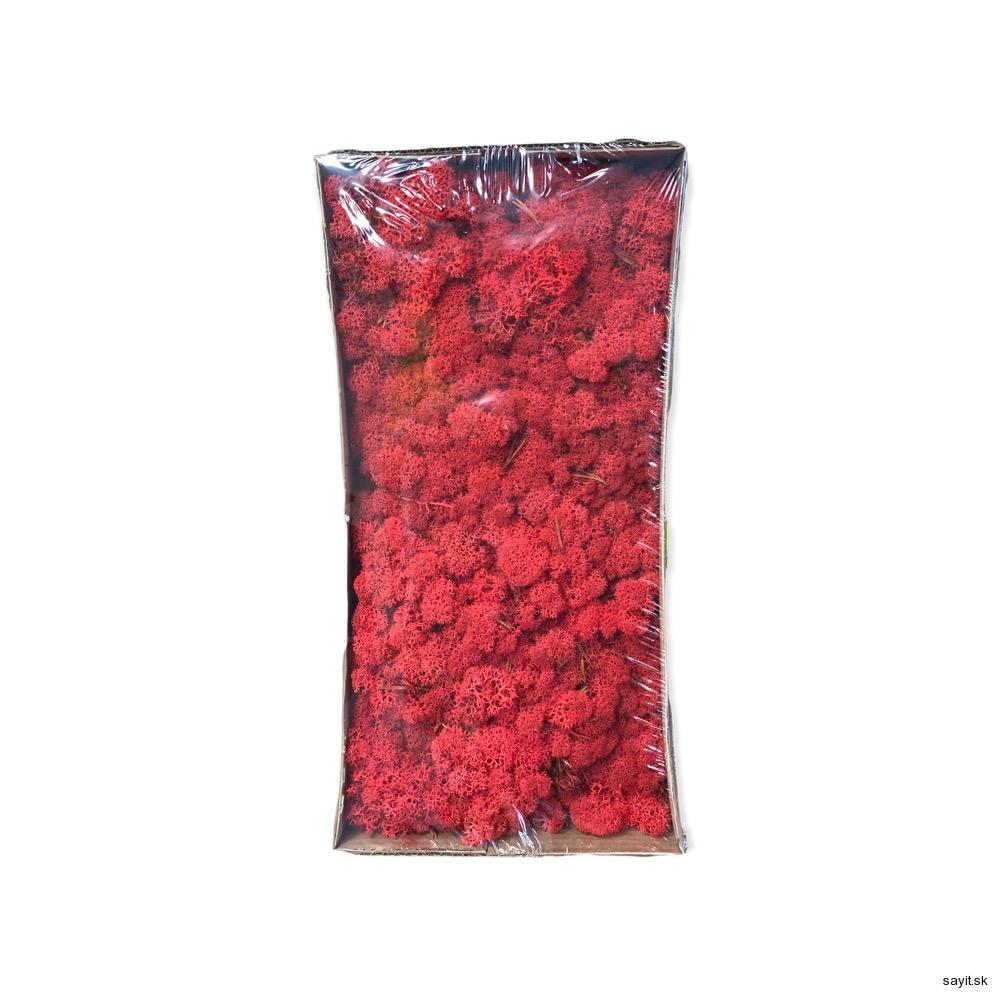 Mach preparovaný lišajník 500g - Red