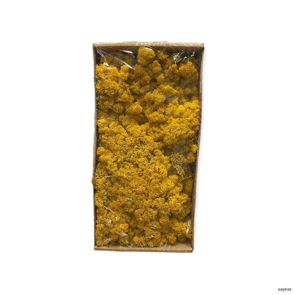 Mach preparovaný lišajník 500g - Yellow