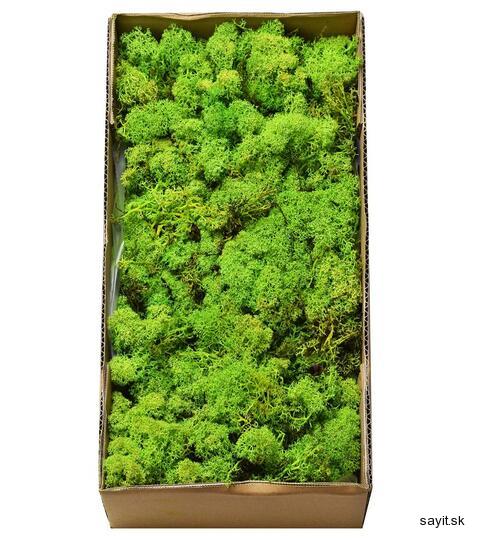 Mach preparovaný lišajník 500g - Grass green light