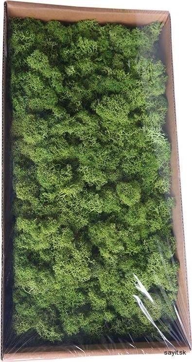 Mach preparovaný lišajník 500g - Medium/Moss green