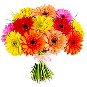 Kytica z gerbier - Isadora 