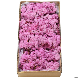 Mach preparovaný lišajník 500g  - Rose